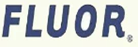 A美国FLUOR